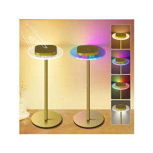 Cordless Rechargeable Table Lamps with Minimalist Style Gold Lamp