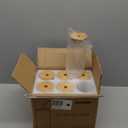 20 Oz Drinking Glasses with Bamboo Lids and Glass Straw - 6 Pcs Glass Cups Beer Ice Coffee Glasses Cute Aesthetic Cup Great for Coffee Bar Accessories Include 2 Cleaning Brushes