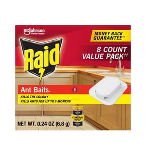 Raid Ant Bait and Indoor Ant Trap - 8ct Pack Of 2