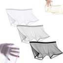 Ice Silk Sexy Mesh Full Transparent Boxer See Through Breathable Shorts Underwear Hollow Briefs for Men (Medium, A2)