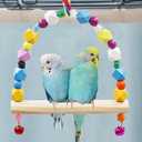 2 Pack Bird Swing, Hanging Colorful Wooden Parrot Perch Stand Toy, Bird Cage Accessories, Suitable for Small to Medium Birds Parrots Parakeets Cockatiels Conure Budgies Love Birds