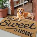 OLANLY Front Door Mat, Low Profile Welcome Doormat for Home, Stain and Fade Resistant, Easy to Clean, for Indoor and Outdoor Entrances, Porch or Entryway, 30x17 Inch, Brown