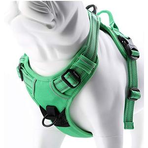 JUXZH Truelove No Pull Dog Harness with Easy Control Handle and 2 Leash Attachments,Reflective Adjustable Pet Vest L