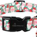 ARING PET Christmas Dog Collar, Cute Green Santa Claus Adjustable Xmas Pet Collars Puppy Collar with Quick Release Buckle for Girl&Boy Dogs-M