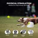 ALL FOR PAWS Automatic Dog Ball Launcher, Interactive Fetch Toy for Medium to Large Dogs, Rechargeable Pet Ball Thrower Machine for Outdoor Play, 6 Pcs 2.5-Inch Balls Included