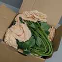 Carlitas Blooms 50pcs Beige Roses Artificial Flowers Bulk Fake Roses Silk Flower with Stems Realistic Flowers for Wedding Centerpiece Party Birthday Decor