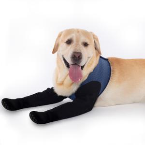 COODEO Dog Socks to Prevent Licking Paws, Dog Healing Bootss & Paw Protectors with Non-Slip Bottoms to Protect Wounds, Waterproof Sleeve Dog Shoes for Licking (Blue, M)