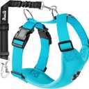 SlowTon Dog Seat Belt Harness for Car, Dog Car Harness Adjustable Mesh Breathable & Dog Seatbelt Safety Tether with Elastic Bungee for Small Medium Large Pets(Light Blue, Double Clip, M)