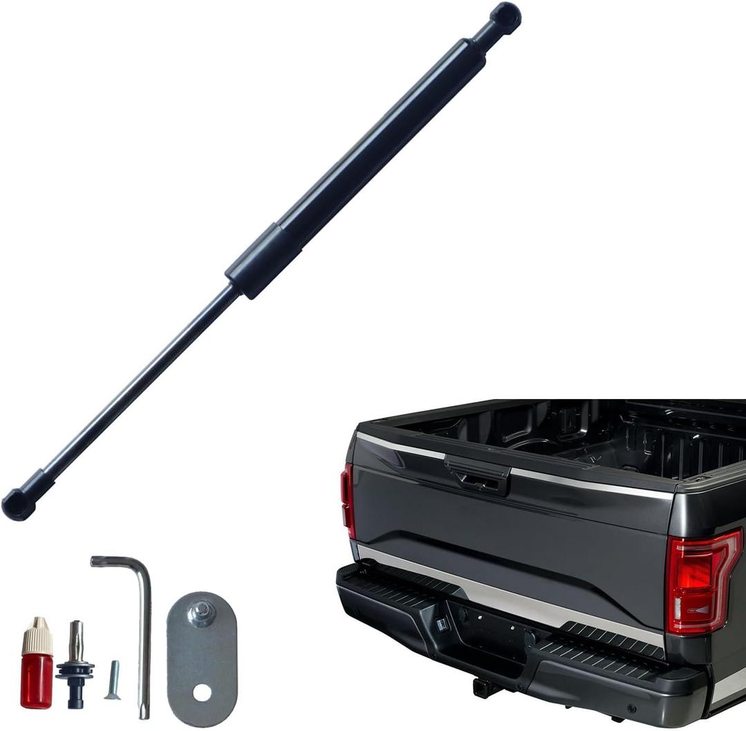 Tailgate Assist Compatible with Ford F150 (2004~2014), Truck Tail Gate Shock Kit Compatible with Ford F150 2004 2005 2006 2007 2008 2009 2010 2011 2012 2013 2014