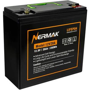 12V 20Ah Lithium LiFePO4 Deep Cycle Battery, 2000+ Cycles Lithium Iron Phosphate Rechargeable Battery for Solar Power, Lighting, Outdoor camping, Power Wheels, Fish Finder, Built-in 20A BMS