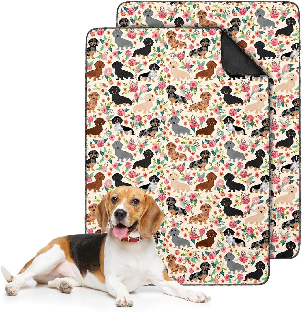 2PC Reusable Potty Pads for Dog-Washable Pee Pads for Floors/Couch/Bed and Crates-with Dachshund Dogs Non-Slip Potty Pads for Training 36"x24"