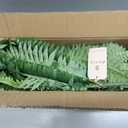 Senjie Artificial Boston Fern 2 Set 55 Branches Fake Ferns for Outdoors 32Inch Faux Plant for Home Living Room Office Decor