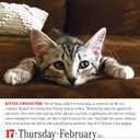 365 Cats Page-A-Day Calendar 2022: The World's Favorite Cat Calendar