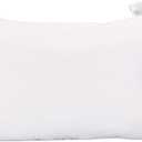 Acanva Fluffy Pillow Insert for Bed Sleeping, Decorative Stuffer Cushion Sham Filler, Queen 20x30 (Pack of 1), White