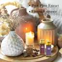 Fragrance Essential Oils Set - 14pcs, Aromatherapy Oils for Skin, Diffusers, Home Care, Humidifier Laundry, Candle Making - Tea Tree, Sandalwood, Lavender, Vanilla, Eucalyptus and More (5mL)