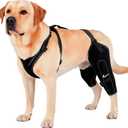 REBORN Dog Double Knee Brace for Torn ACL, CCL & Luxating Patella, Adjustable Back Leg Support & Recovery, Hind Leg Brace for Stability, Arthritis, Injury & Joint Pain Relief, Medium
