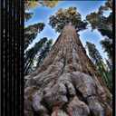 12x18 Picture Frame Black Photo Frames Display for Wall, Set of 6