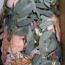 DearHouse 2Pack Artificial Peony Flower Garland - 6ft/Strand Silk Peony Flower Greenery Garland with Fake Willow Leaves for Wedding Ceremony Backdrop Party Table Centerpieces Decor (Pink)