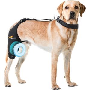 Dog Knee Brace for Torn ACL Hind Leg, Support for Patella Dislocation or Osteoarthritis, Cruciate Ligament Injuries, Cut-Out Non-Slip Wrap Promotes Patellar Stability((Right Leg, M)