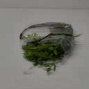 Melorca&Guilla Artificial Plants,2PCS 43.3" Green Nandina Faux Branches for Vase,Artificial Plants for Shop Garden Office Home Dcor