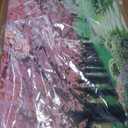 Aibonnly Canvas Wall Art Painting Pink Cherry Blossoms 1 Piece Park Tree Forest Wallpaper Spring landscape Picture Poster Print Framed and Stretched Ready to Hang for Living Room Bedroom Artwork (48"L x 24"W)