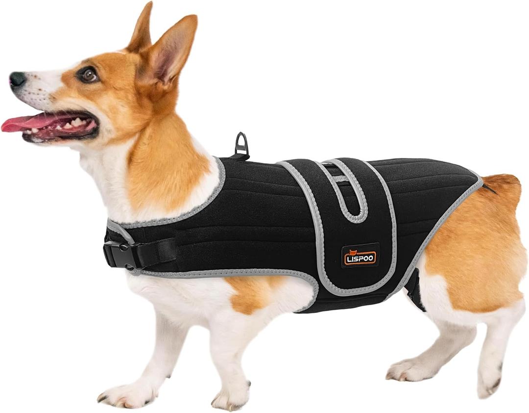 Dog Back Brace for IVDD and Slipped Disc with Metal Stays,L