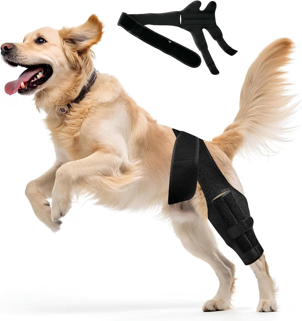 Dog Adjustable Knee ACL Brace,Perfect for Recovery, Prevention, and Comfortable Support of Torn Ligaments, Knee, Hock and Ankle Injuries, for Both Front and Rear Legs(M Size)