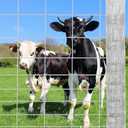 Garvee Cattle Fence 5ft x 164ft - Heavy Duty Galvanized Wire Fence & Chain Link Fence for Hog, Goat, Sheep & Deer; Ideal As Goat Fencing, Deer Fence, Yard Protection & Livestock Cattle Panel