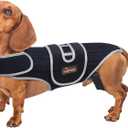 Dog Back Brace for Dachshunds & Slipped Disc | Post-Surgery Support & Arthritis Relief | Vet-Recommended Back Brace for Dogs | Breathable with Support Rods & Straps (Size S)