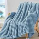 BEDELITE Fleece Throw Blanket for Couch - 300GSM Soft & Warm Fluffy Light Blue Blanket, Decorative and Giftable Striped Blankets for Women, Men, 50"x60"