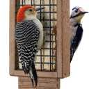 Kingsyard Recycled Plastic Suet Bird Feeder, Double Capacity Tail-Prop Suet Feeder for Outside Hanging, Sturdy & Durable, Great for Woodpecker & Clinging Birds, Green