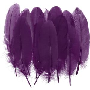 PATIKIL 4-7" Natural Goose Feathers Bulk for Crafts, 300 Pack Long Assorted Colors Feathers Decor for DIY Dream Catchers, Hats, Garland, Vase Supplies Adults Crafting, Dark Purple