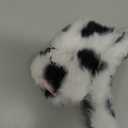 101 Dalmatian Costumes Kids, Girls Shirt Tutu Outfit Ears Headband Socks Accessories for 101st Day Of School (Small(5-7yr))