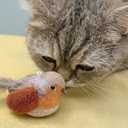 AGGER Cat Casting Fishing Pole Toy, Cat Casting Toy Set, Interactive Toy for Cats, Tangle-Free Design, Cat Toy for Indoor Outdoor Cats