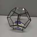 NCYP Small No Door Terrarium Planter - 6.8" x 6.8" x 5.9" Open Geometric Glass Terrarium Pot for Mini Succulents, Small Cactus - Home Tabletop Miniature Decor, Black (No Plants)