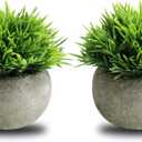 THE BLOOM TIMES 2 Pcs Small Fake Plants for Home Decor Indoor, Artificial Faux Potted Greenery for House Office Decorations