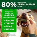 Greenies Veterinarian-Recommended Adult Natural Dental Dog Treats Petite Size, Dog Dental Chews, Original Flavor, 54 oz. Pack, 90 Count (EXP 07/28/27)