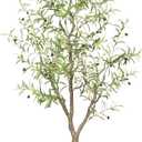 Olive Trees Artificial Indoor - Faux Olive Tree 6ft - Fake Olive Tree with Olive Branches and Lifelike Fruits - Artificial Olive Tree for Modern Home Office House Living Room Decor Indoor