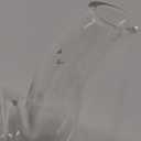 HIWARE 1000ml Glass Teapot with Removable Infuser, Stovetop Safe Tea Kettle, Blooming and Loose Leaf Tea Maker Set (33 oz)