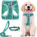 PUPTECK Adjustable Dog Harness Collar and Leash Set Step in No Pull Pet Harness for Small Medium Dogs Puppy and Cats Outdoor Walking Running, Soft Mesh Padded Reflective Vest Harnesses, Lake Green S (S (CHEST 14.5"-16"))