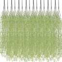 Cindeer 24 Pack Fake Spanish Moss Artificial Hanging Decoration Bulk Faux Greenery Moss Garland for Potted Wall Living Room Indoor Outdoor Decor(33 Inch,Green)