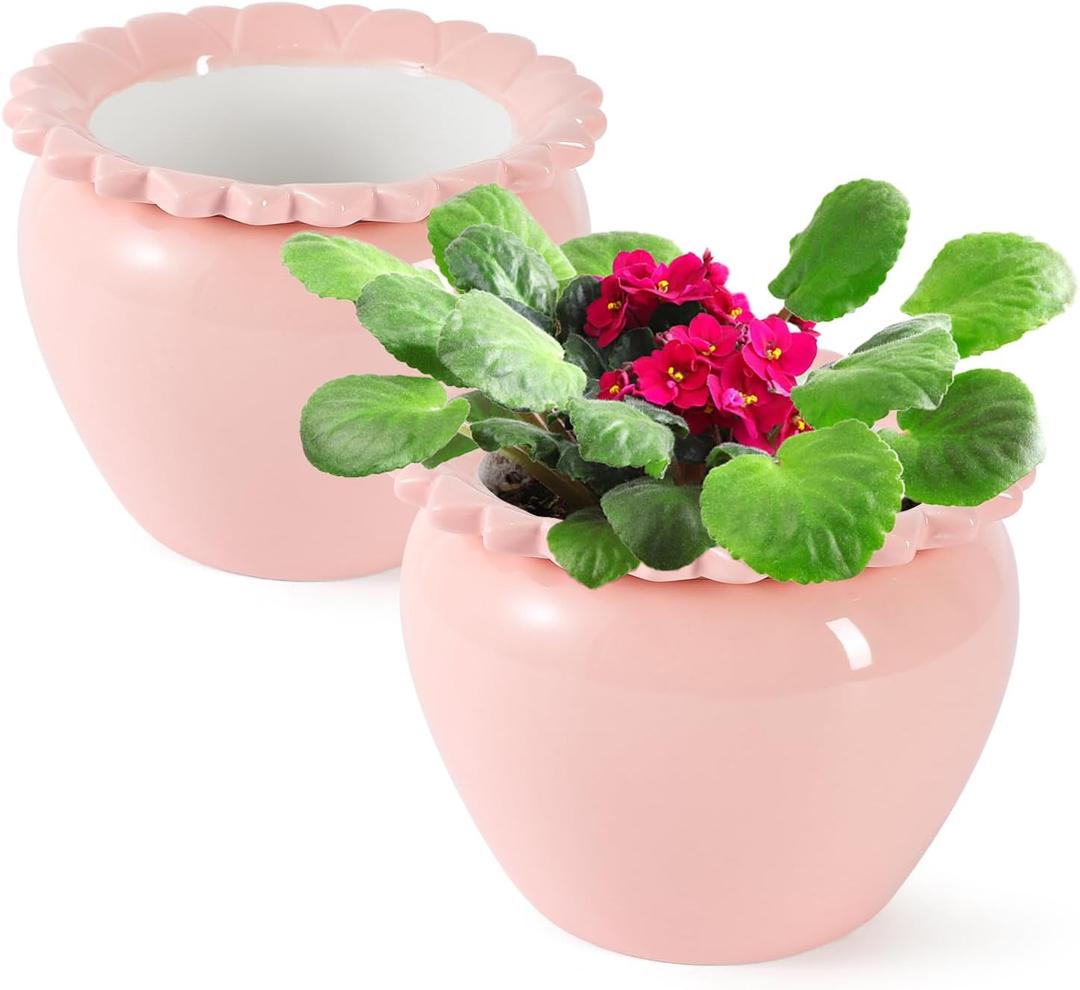 2pcs 6.5inch Design Self Watering Pot for Indoor Plants Pink Indoor Plants Herbaceous Plants Flowers White Terracotta Pots African Violet Pot for Plant Enthusiasts Orchid Planter