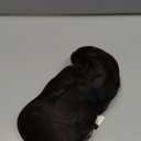 LONAI Ponytail Extension for Women,18 Inch Layered Wavy Pony Tail Hair Extensions, Natural Drawstring Ponytail Synthetic Hairpiece for Daily Wear (Black Brown)