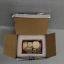 Ultrassist Dental Implant Model for Patient Education, 4 Times Dental Implant, Crown and Bridge Model for Presentation-Pink