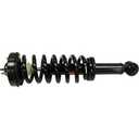 ACDelco Shock Absorber Amortisseur