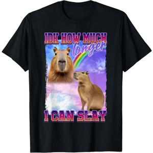 IDK How Much Longer I Can Slay Capybara T-Shirt, Size: M