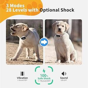 2025 Ultra-Small Bark Collar with Optional Shock, Vibration & Sound, Bark Record for Small Dogs 5-15lbs, Only 1 * 1.7in & 0.8oz, Rechargeable, IPX7 Waterproof, 5 Sensitivity Levels(WhiteWhite