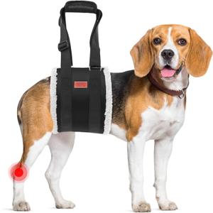 Adjustable Dog Lift Harness, Dog Sling for Large Dogs Lift Support and Rehab Harness for Weak Rear Legs, Soft Hind Leg Support Helps Senior, Injured, Disabled and After ACL Surgery Dogs(Black, Medium)