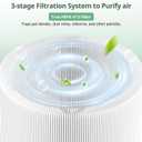2 Pack 211i Max Replacement Filter Compatible with BLUEAIR Blue Pure 211i Max Air Purifier, Ture HEPA & Activated Carbon Replacement Filter