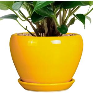 Ceramic Pot for Plants - 6 Inch Plant Pot Glaze Modern Decorative Round Planter with Drainage Hole and Saucer for Home Patio Room Office House Decor, Yellow